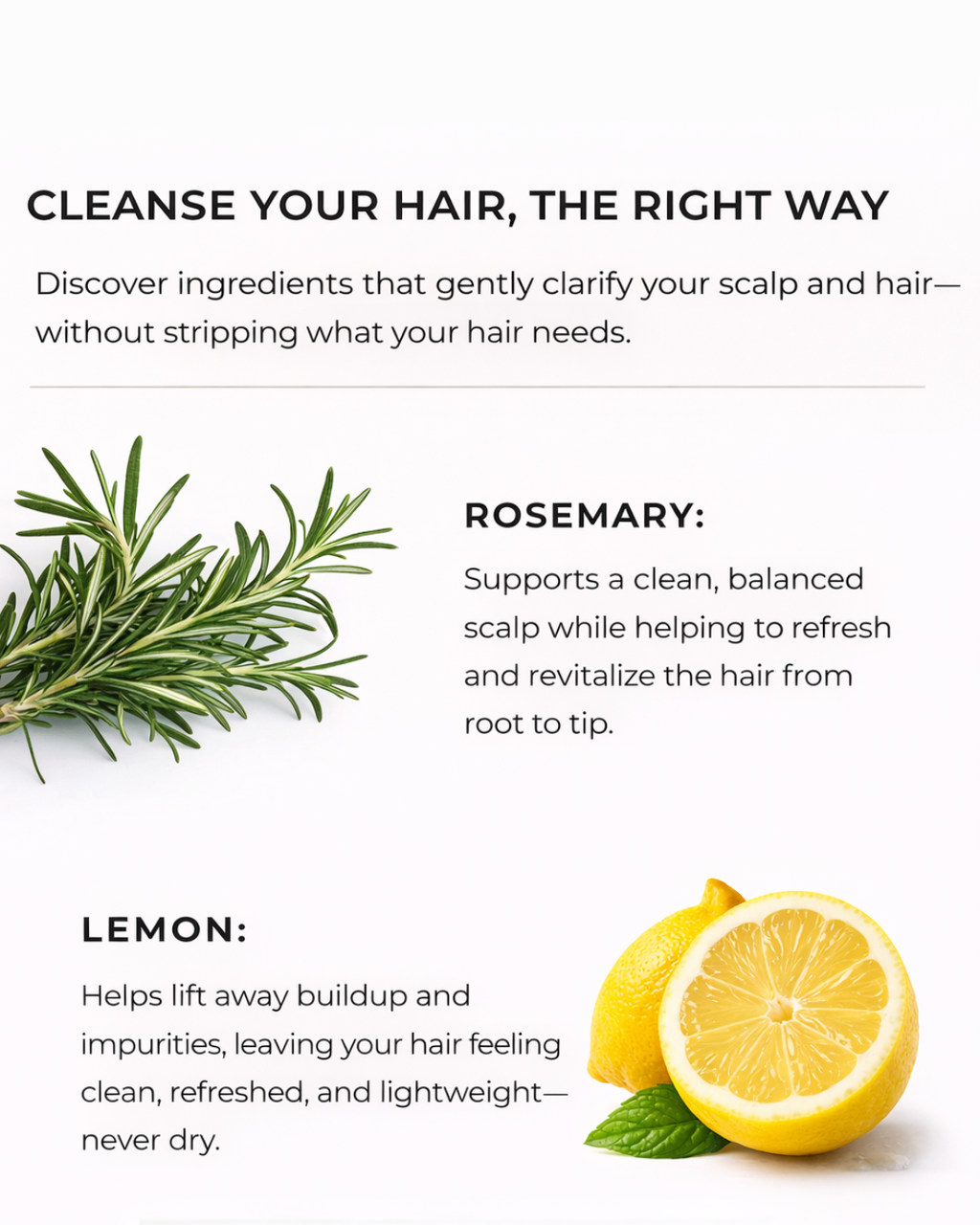 Lemon & Rosemary Clarifying Shampoo